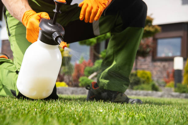 Best Flea Control Services  in Carolina Forest, SC