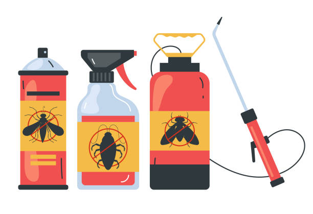 Wasp Removal Services in Carolina Forest, SC